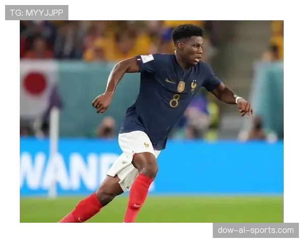 卡马文加与楚阿梅尼：法国后腰适配性差异的核心症结